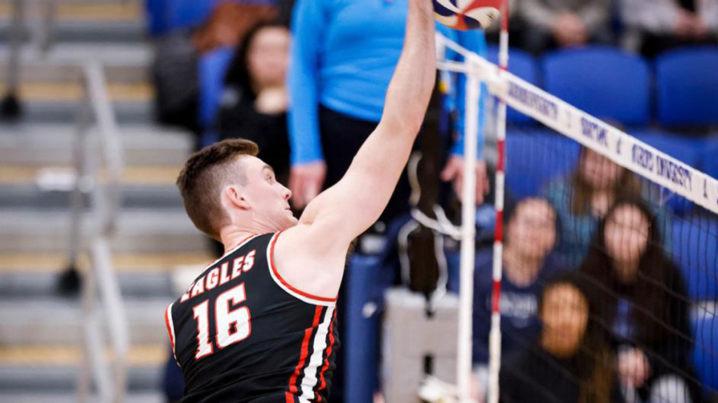 bingo plus reward points login