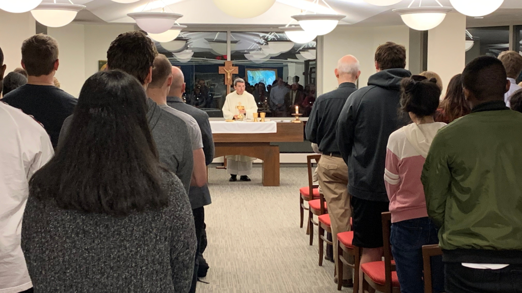 bingo plus net rewards login