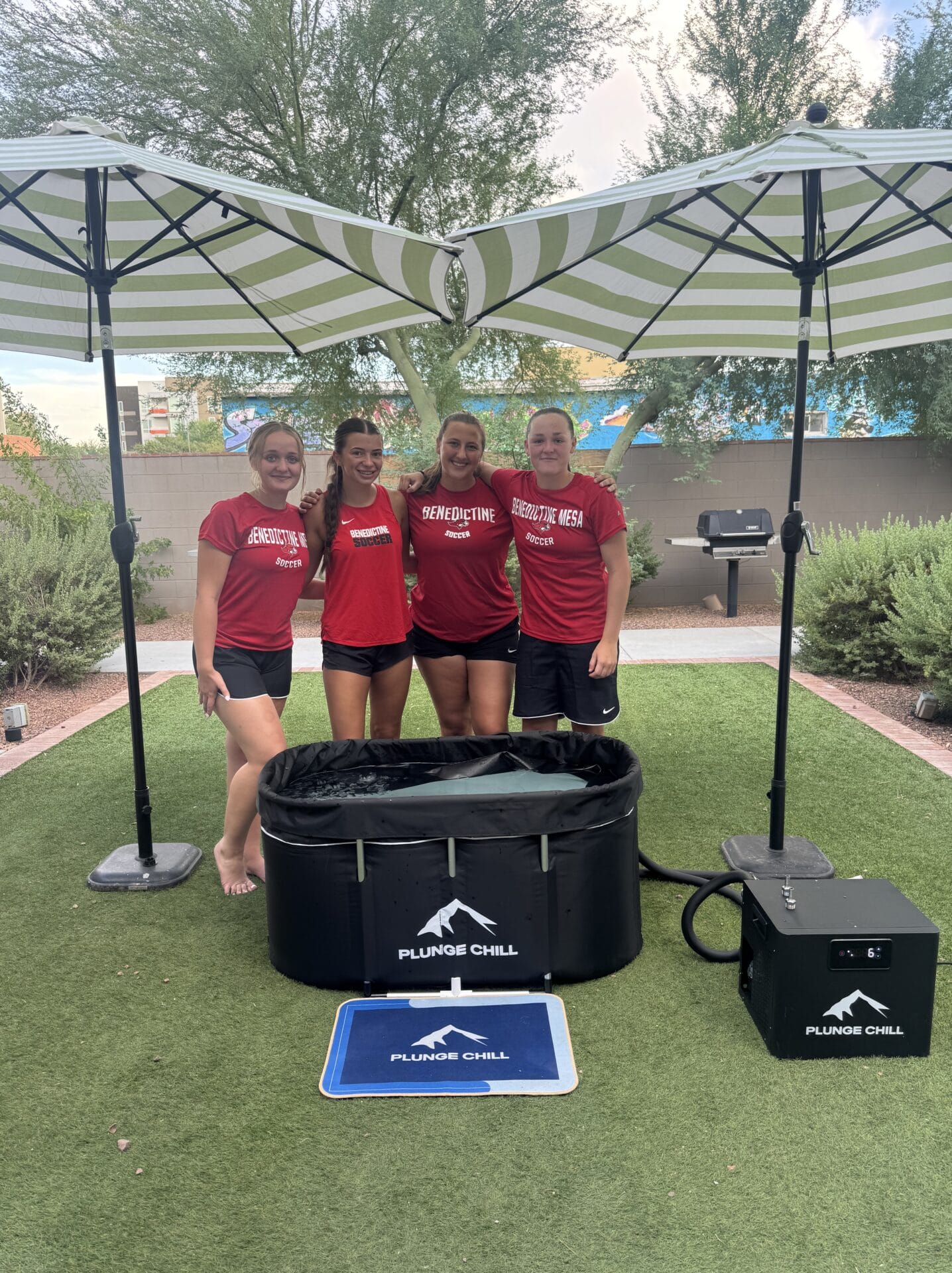 bingo plus rewards points free codes