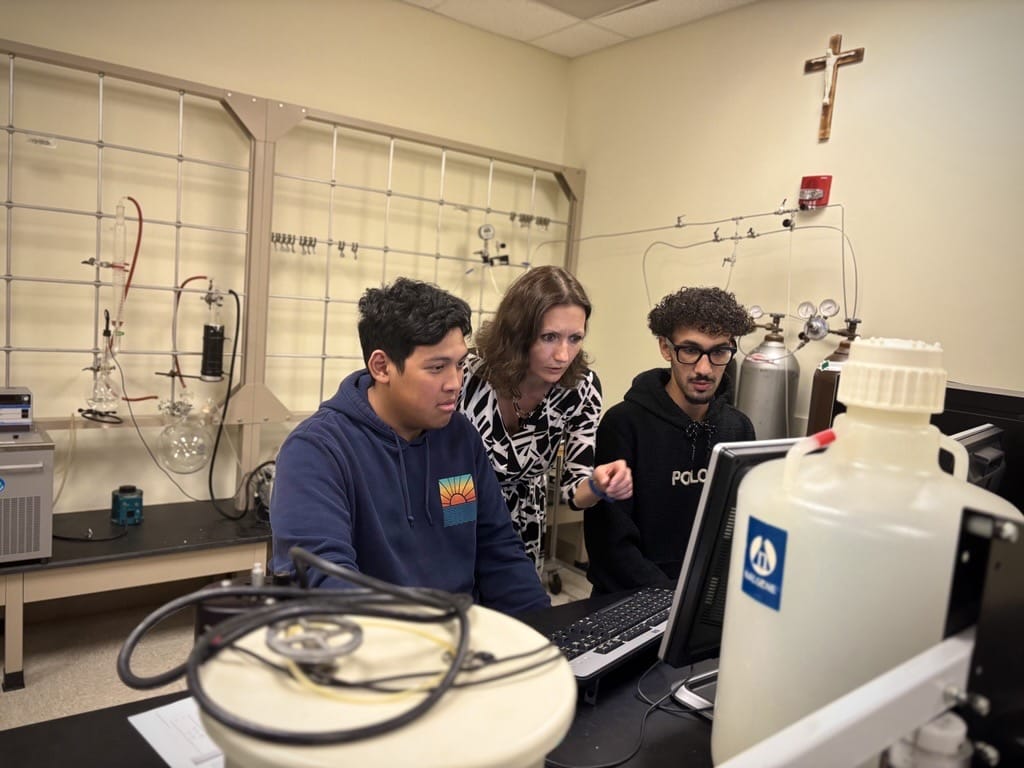 bingo plus rewards points free codes